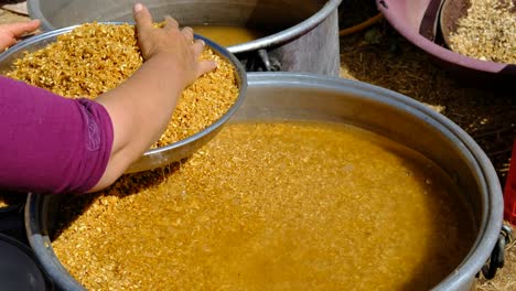 washing new crop wheat