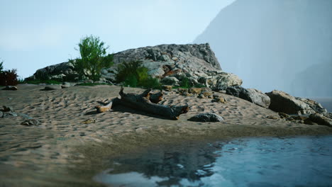 serene seascape: tranquil beach with driftwood and rocks