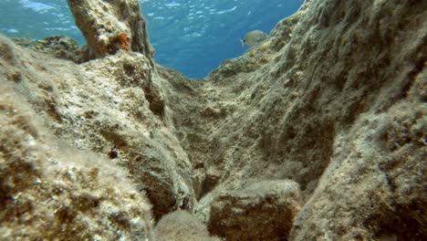 Massive-Submerged-Rocks-And-Small-Fishes-Swimming-In-Paralia,-Emplisi-Beach--Underwater