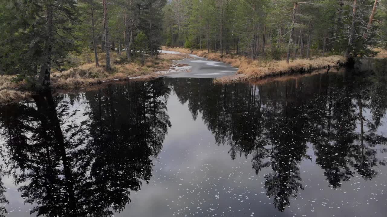 Un Fiume Calmo nella Natura Selvaggia della Norvegia con Schiuma e Riflesso degli Alberi