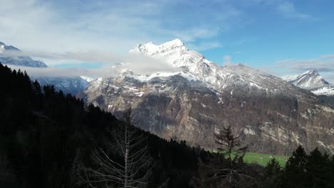 Aerial-dolly-between-leafless-trees-to-lush-green-valley-at-base-of-snow-covered-mountains