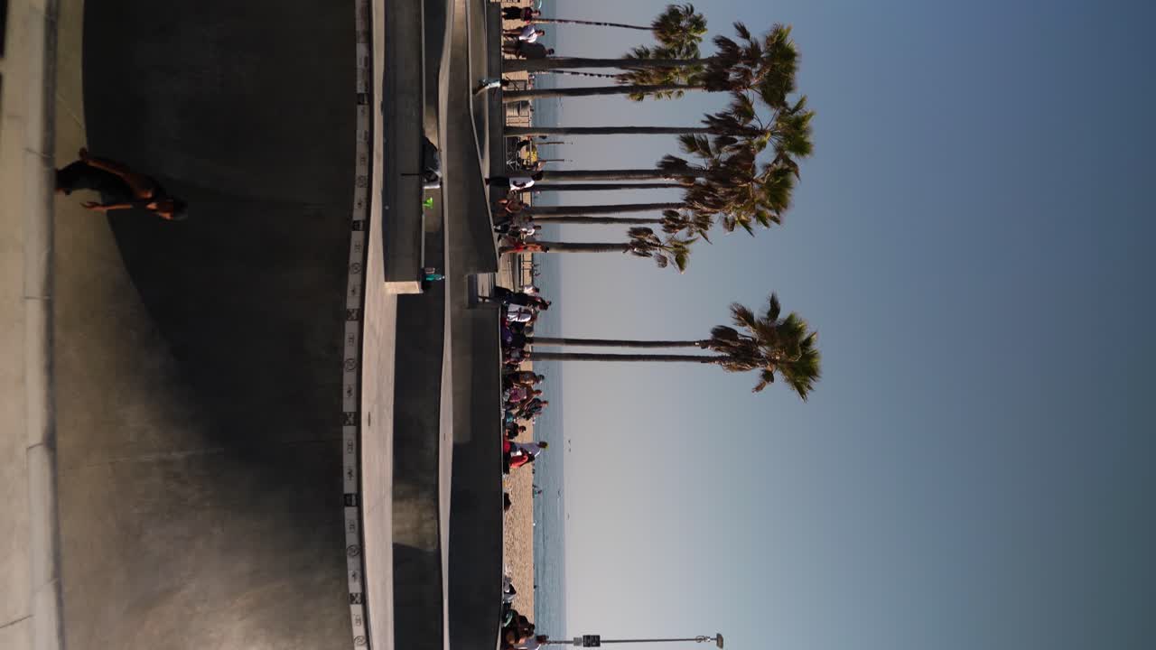 Video panoramica verticale 4K in uno skate park a Venice Beach a Los Angeles, molti giovani che fanno skateboard, giornata di sole con cielo blu, e palme e spiaggia sullo sfondo