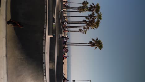 video panorámico vertical de 4k en un parque de patinaje en venice beach en los ángeles, mucha gente joven patinando, día soleado con cielo azul, palmeras y playa en el fondo