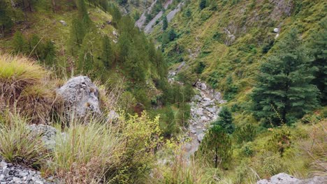 Cascada-De-Paraguas-De-Poona-Esta-Toma-Está-Mirando-El-Arroyo-Desde-Las-Montañas