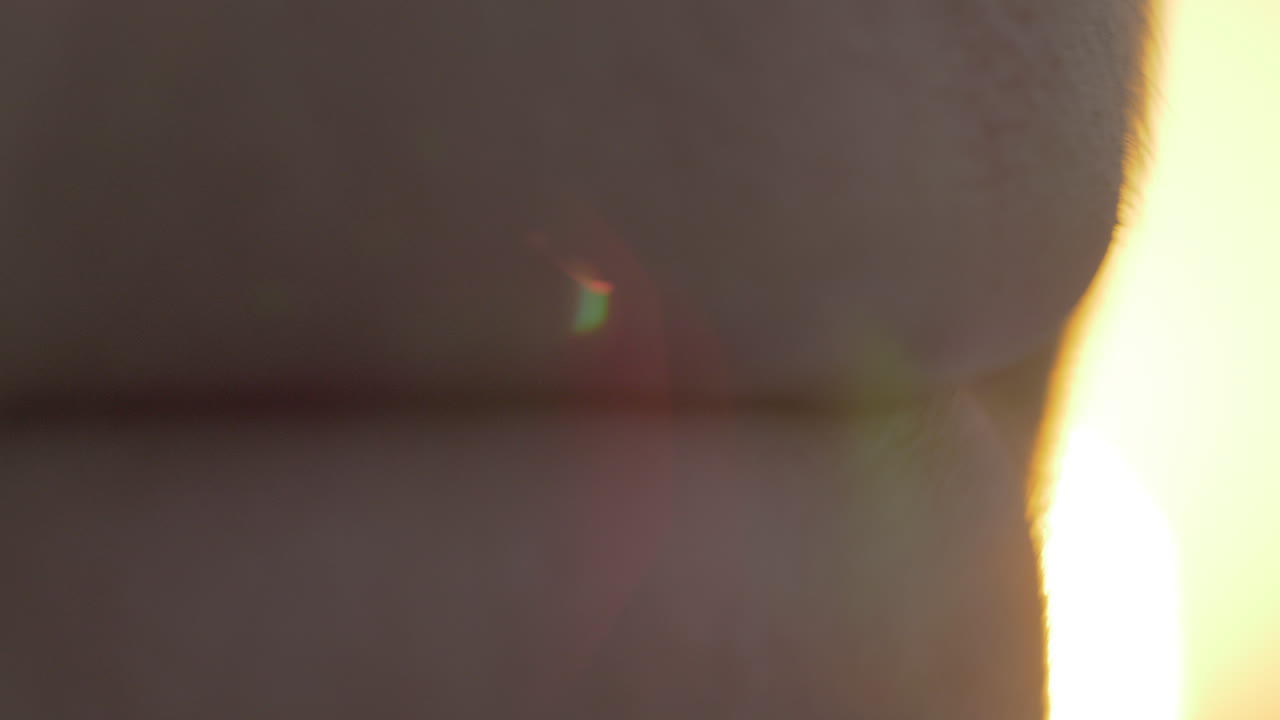 저녁 메이크업과 립스틱 적용