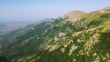 Panorámica-Lenta-De-La-Línea-Del-Bosque-En-Una-Montaña-A-Gran-Altitud