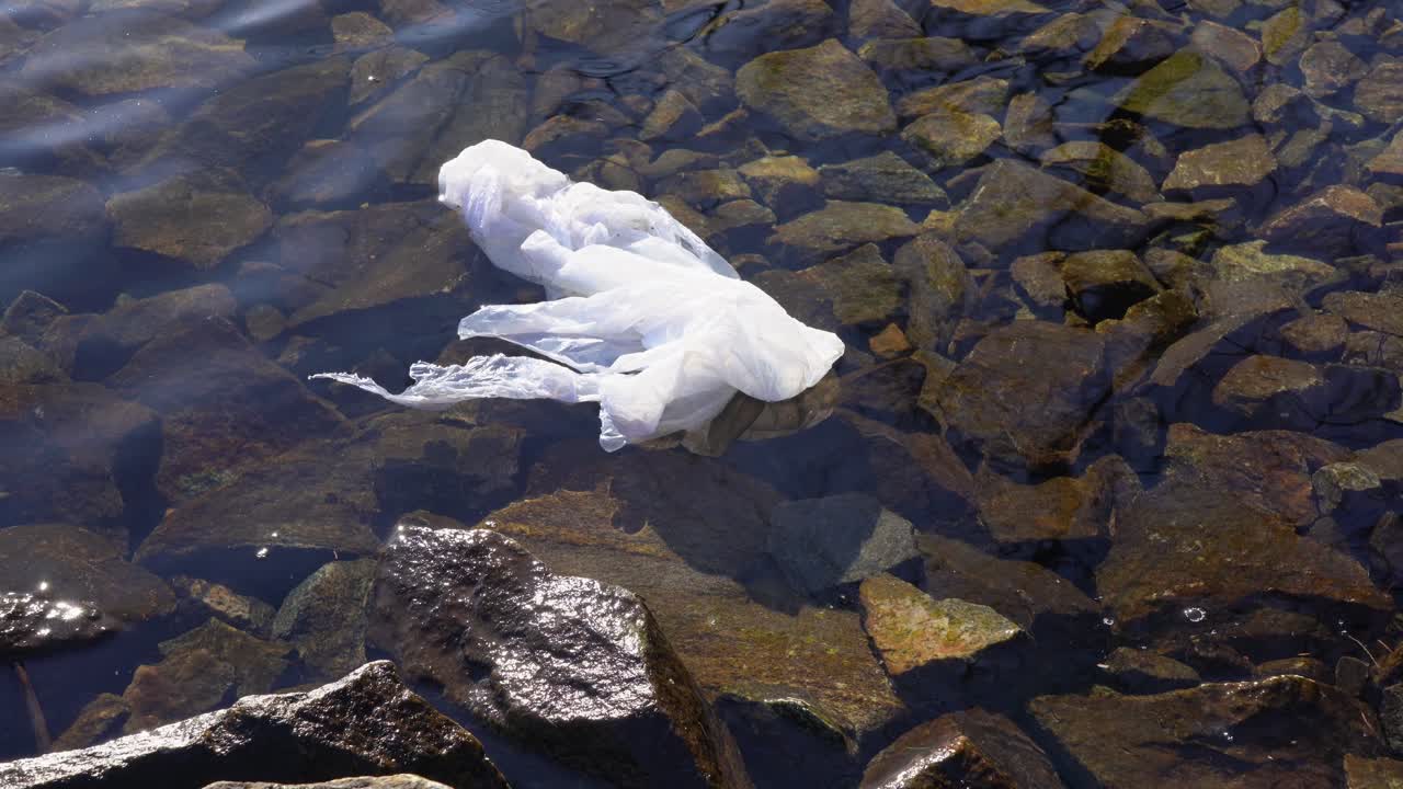 노르웨이 피요르드 해안의 맑은 물에 떠 있는 흰색 비닐봉지