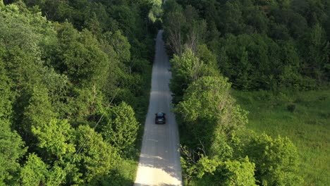 top down view of cars driving along the road among the forest