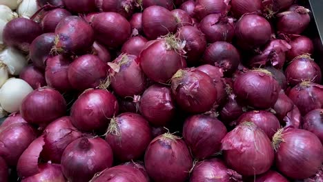 large organic fresh red onions. australia