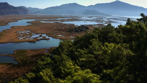 aerial view of dalyan delta and iztuzu beach in autumn