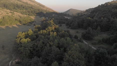 flight over the mountain landscape of the forest