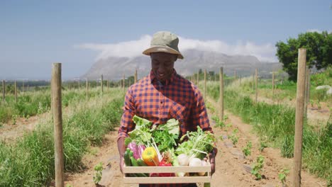 organic produce