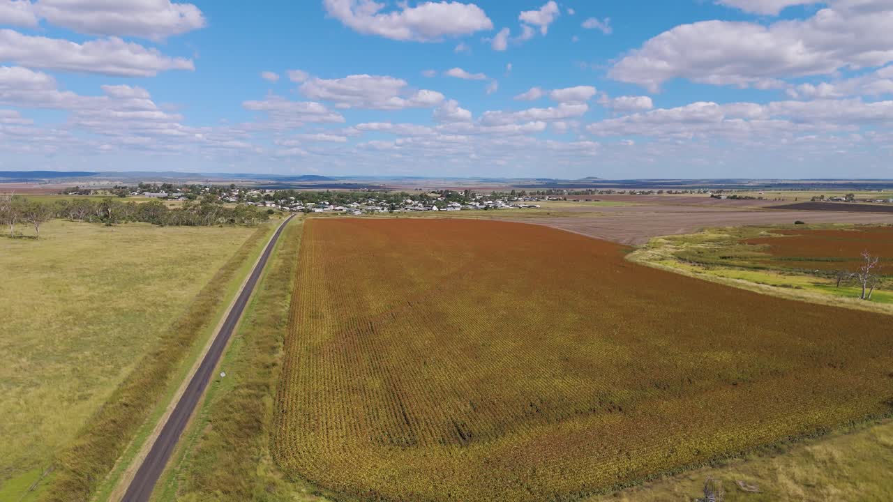Drone captures expansive fields under blue skies