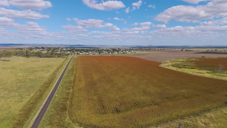 drone captures expansive fields under blue skies