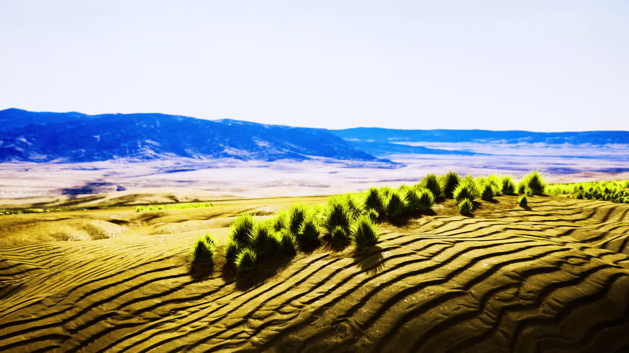 Golden fields embrace rolling hills beneath a brilliant blue sky at dawn