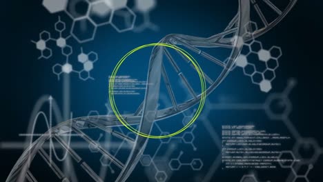 turning dna and moving white data on blue background