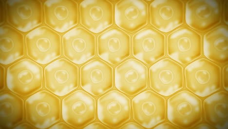células de la piel humana. cada célula con membrana. terapia celular. tratamiento de enfermedades. núcleo y vacuola. regeneración. animación de bucle.
