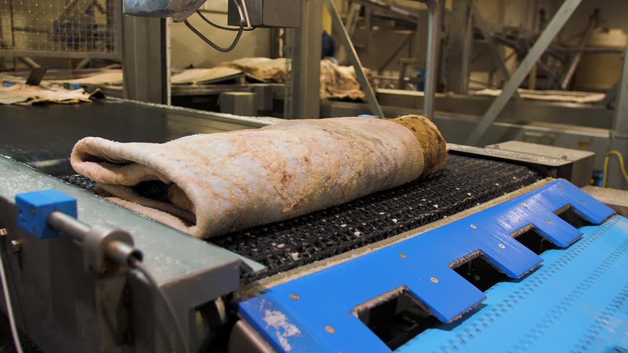 Leather being transported on a conveyor-belt inside a factory