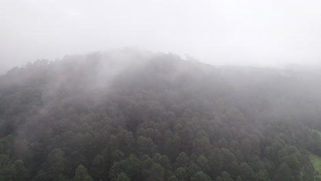 Aerial-Flight-through-clouds-and-mist-over-tall,-leafy,-green-trees-with-mountains-in-the-background-in-Valle-De-Bravo,-Mexico