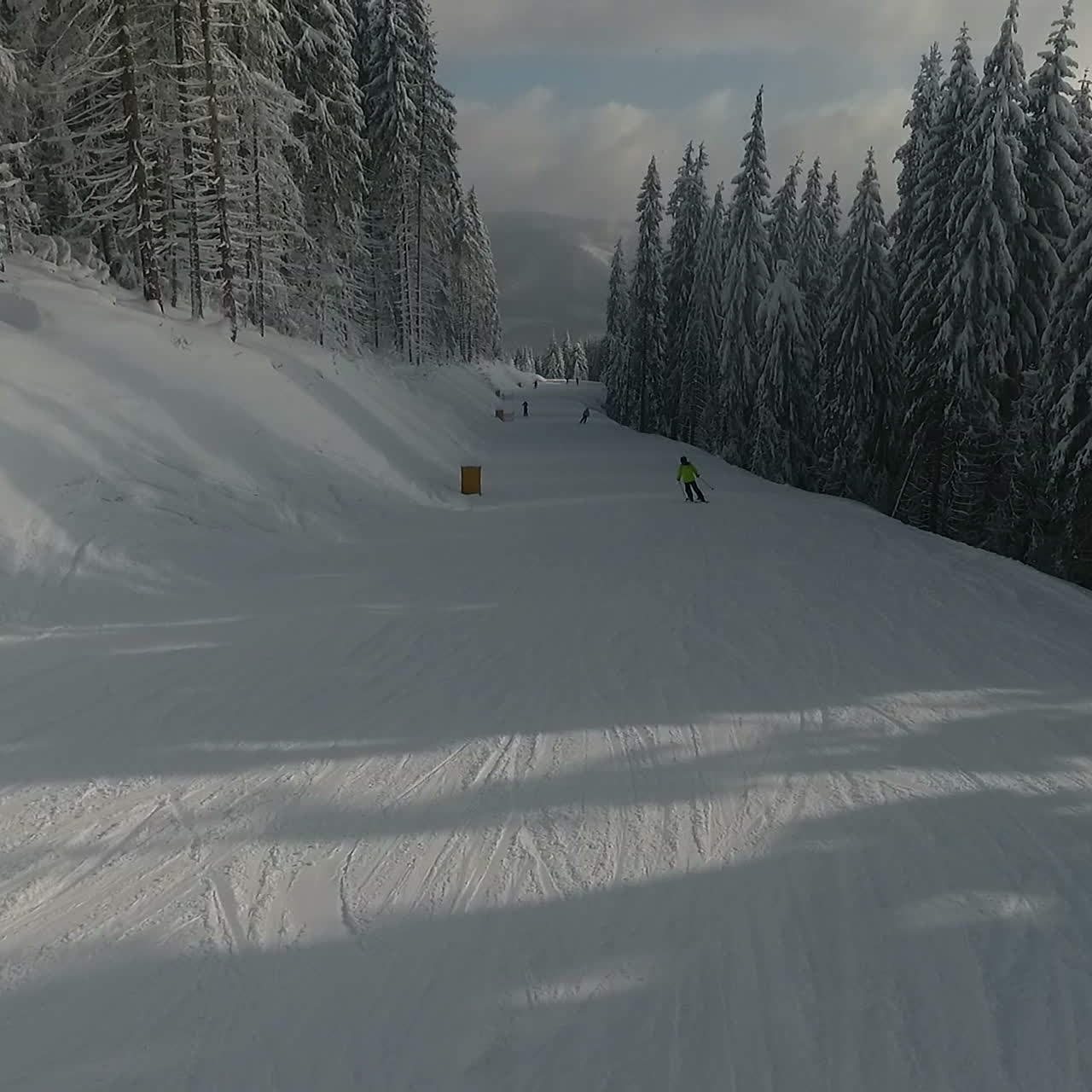 Sciatori sulla pista tra pini bianchi innevati. Stazione sciistica invernale. Vista aerea.