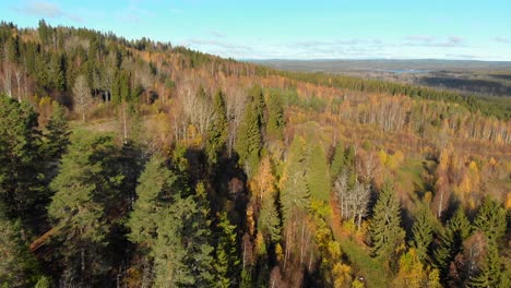 Drohnenaufnahmen,-Die-über-Einen-Bunten-Herbstwald-Fliegen