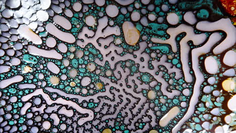 Colorful liquid patterns forming abstract shapes in a macro shot of mixing liquids