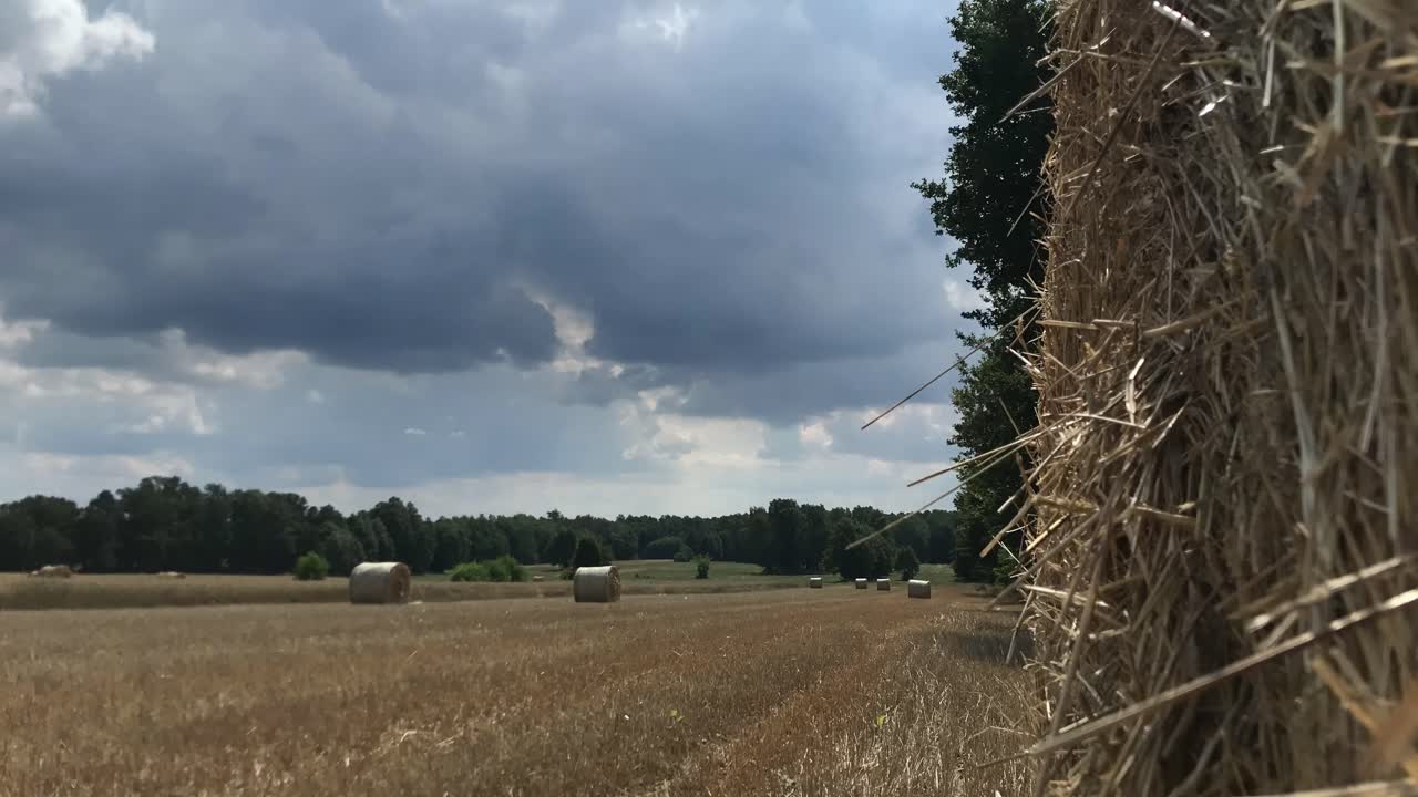 Vivi il fascino delle balle di paglia sullo sfondo di un paesaggio suggestivo