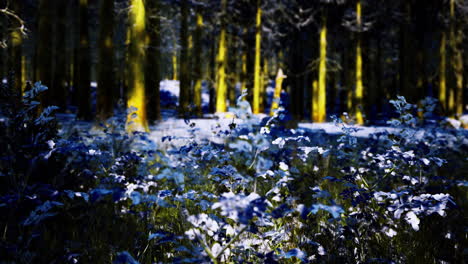 vibrant blue flowers bloom in an enchanting forest during twilight hours