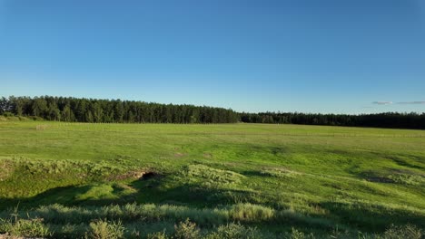 experience the lush green landscapes of yakutia as sunlight springs over vast fields and serene forests, revealing nature's tranquil beauty in this remote region