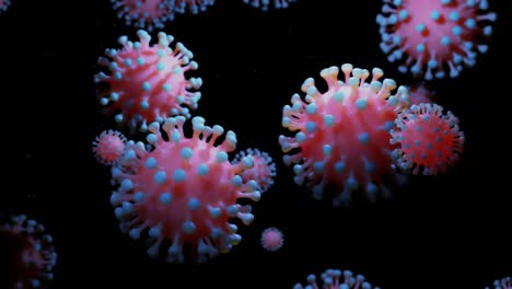 en primer plano, el coronavirus tipo covid-19, h1n1, la gripe aviar o la gripe porcina se mueven suavemente en el fluido. representación 3d del virus como fondo de bucle microscópico microbiológico. gradiente azul rojo 4