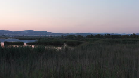 Cinematic-high-view-shot-of-marshes,-swamps,-bogs-during-a-beautiful-sunset