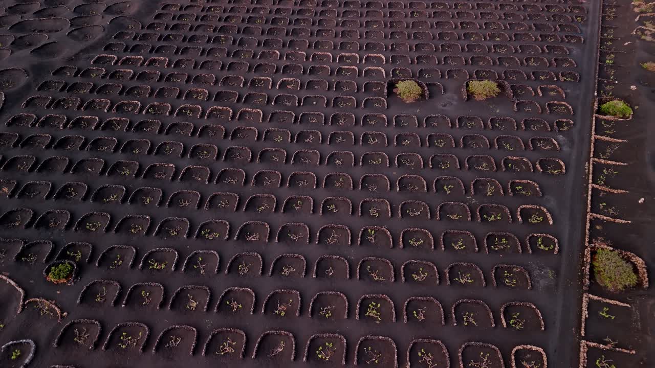 La Geria is a unique wine-growing region in Lanzarote, part of the Canary Islands, Spain, known for its striking landscape shaped by volcanic activity.