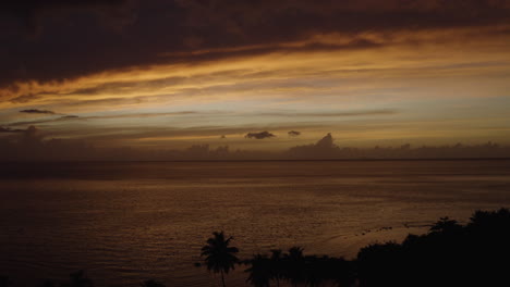 cinematic aerial pullout over ostiones beach in puerto rico - beautiful caribbean ocean and silhouetted palm trees
