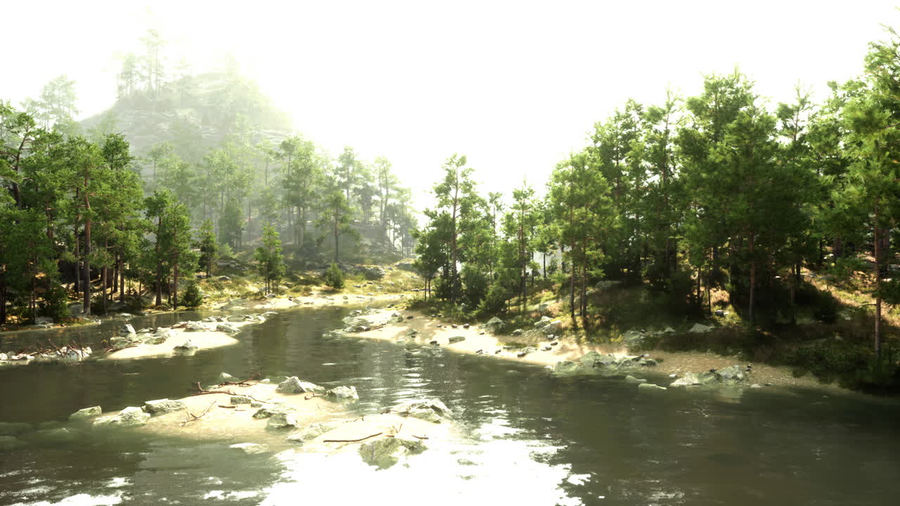 그 곳 을 가로질러 흐르는 강 이 있는 그림 같은 숲