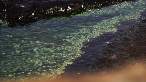 Rocky-coastline-of-Vietnam-with-growing-shells-on-stone,-static-view