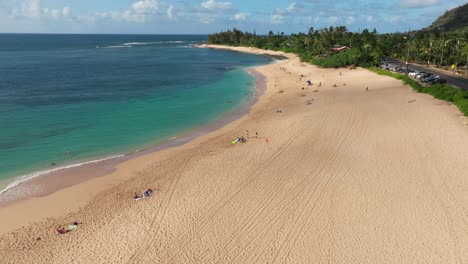 flying over palm tress overlooking a sunny beach in hawaii