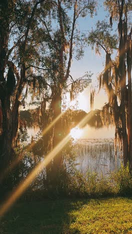 sunset over a tranquil lake with trees