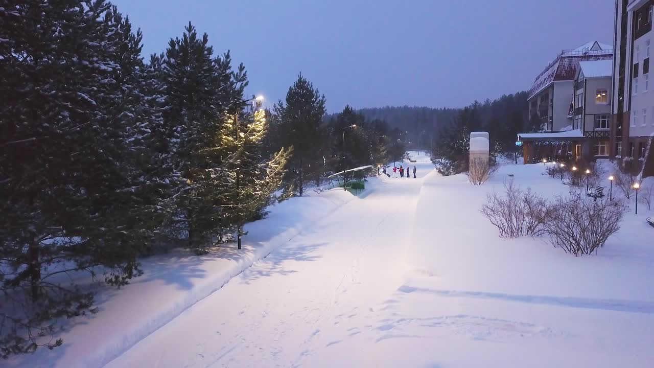 снежная зимняя вечерняя сцена в парке
