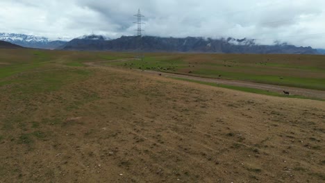 vista aérea de las verdes montañas y la naturaleza pacífica