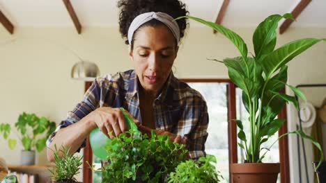 mujer de raza mixta rociando agua en las plantas en casa
