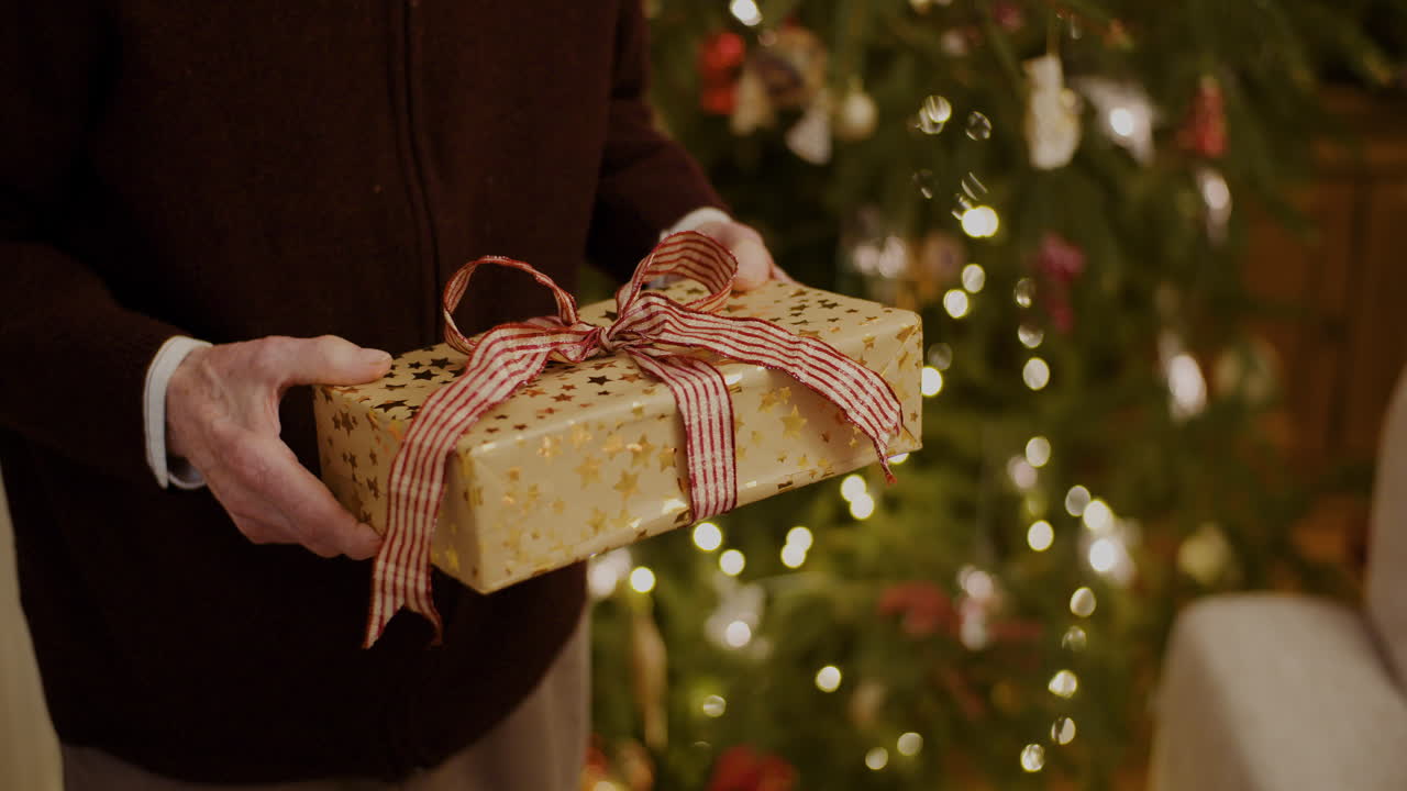 Nipote che tiene in mano un regalo di Natale a casa