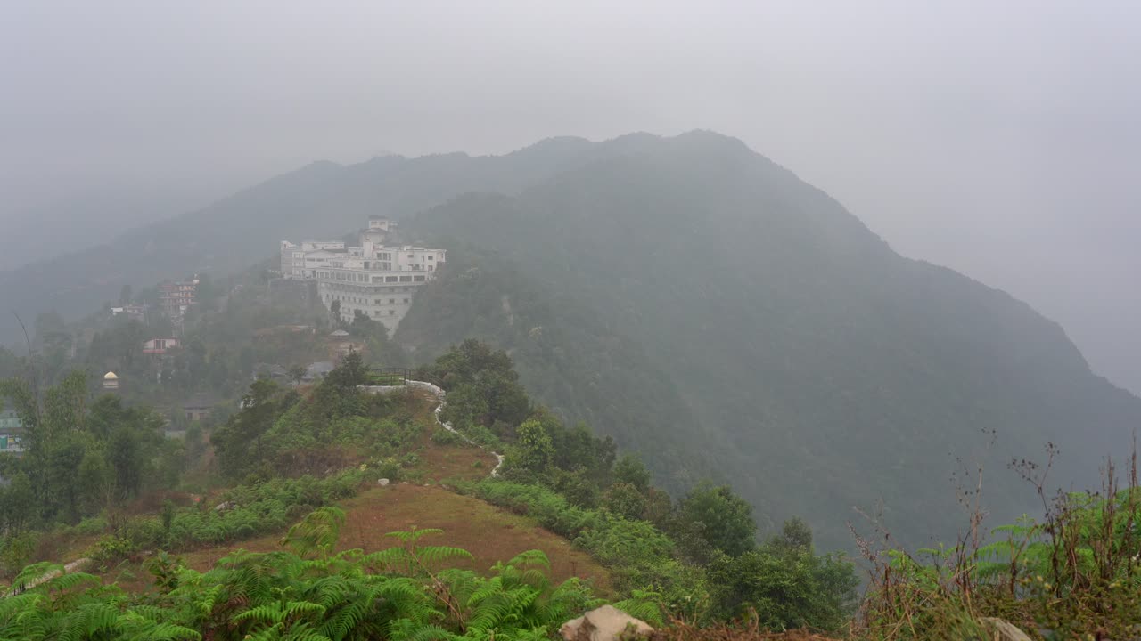 숲이 우거진 언덕의 능선을 가로지르는 안개와 안개의 시간 경과