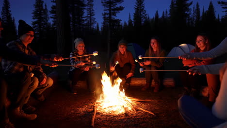 friends roasting marshmallows around a campfire at night