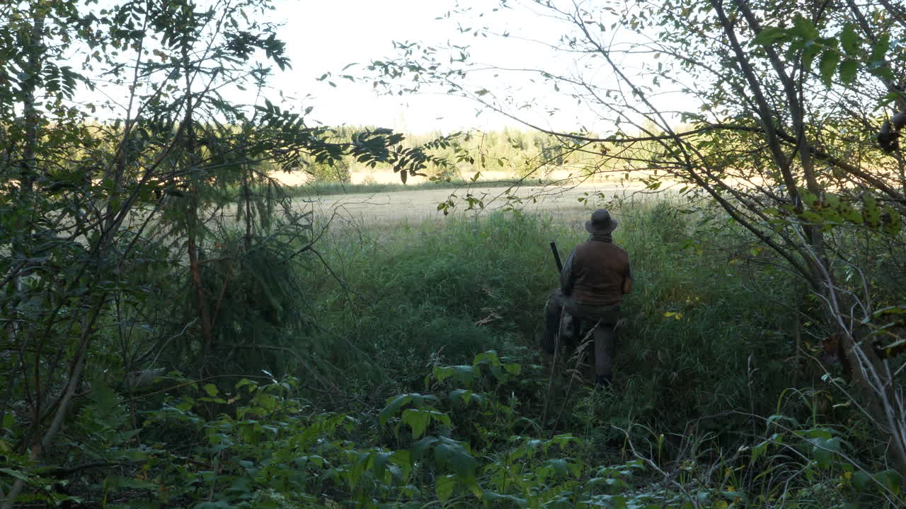 toma de grúa de cazador esperando presa mirando el paisaje otoñal