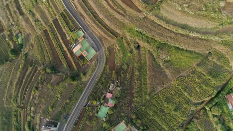 Mountain village near Garachico. Drone footage of Tenerife - Canary Islands. birds-eye view