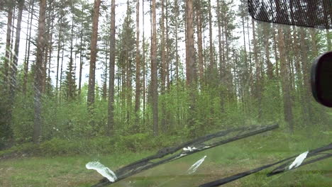 Slowmotion-shot-of-pollen-covered-car-windshield-washed-with-wipers