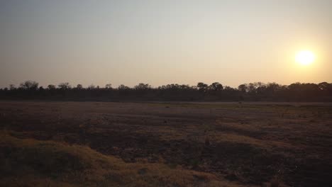 Una-Puesta-De-Sol-Africana-Pinta-El-Cielo-En-Tonos-Ardientes,-Proyectando-Un-Brillo-Dorado-Sobre-El-Lecho-De-Un-Río-Seco,-Capturando-La-Conmovedora-Interacción-Entre-La-Vida-Y-La-Desolación-En-El-Dramático-Lienzo-De-La-Naturaleza.