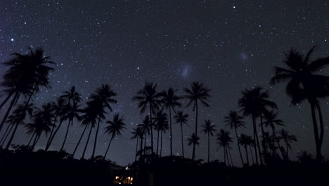 Lapso-De-Tiempo-De-Estrella-Del-Hemisferio-Sur-Con-Silueta-De-Palmera