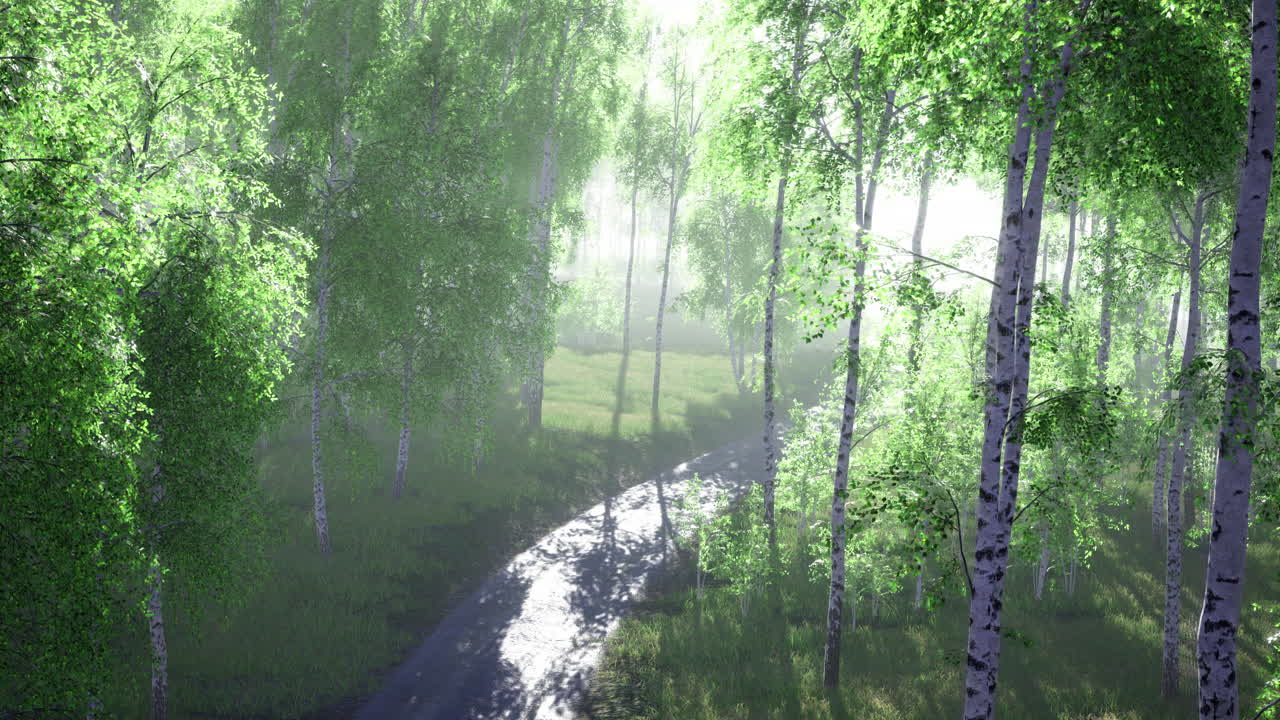 Serene river winding through lush green forest under soft morning light