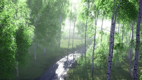 serene river winding through lush green forest under soft morning light